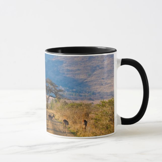Caneca Impala (Aepyceros Melampus), Hluhluwe-Umfolozi (Direita)
