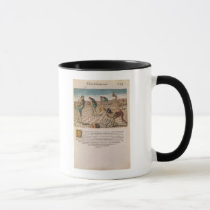 Caneca Indianos de Florida que plantam o milho
