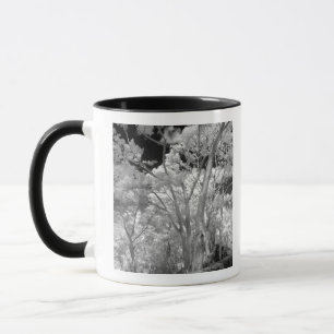 Caneca Infravermelho de árvores, edifícios e trilhas em L