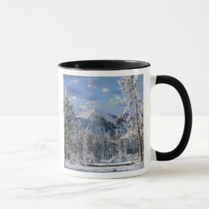 Caneca Inverno no Parque Nacional de Yellowstone, Wyoming