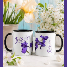 Caneca Íris Irresistível