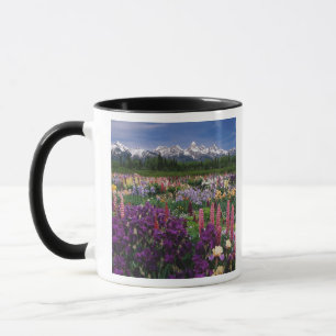 Caneca Iris, Jardim Lupine e Faixa de Teton,