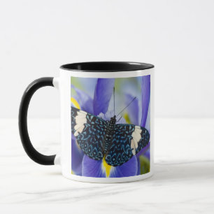 Caneca Íris Roxa de Borboleta Tropical