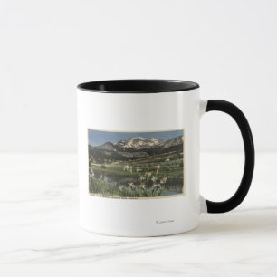 Caneca Íris selvagem que cresce o Mammoth próximo do Mt