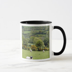 Caneca Irlanda Ocidental, Península de Dingle, ampla