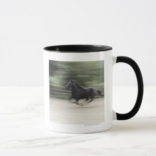 Caneca Italia, Latium, galope do cavalo de Maremma