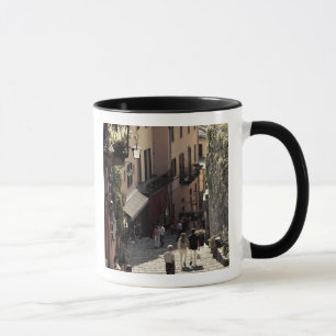 Caneca Itália, Província de Como, Bellagio. Salita 2