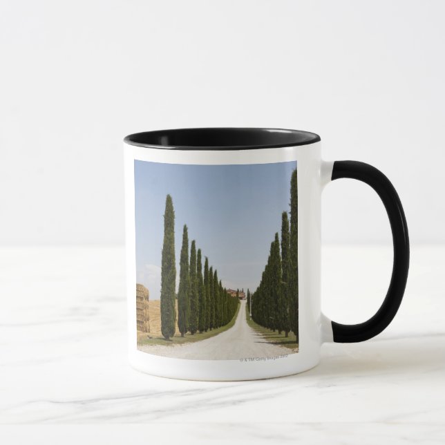 Caneca Italia. Toscânia. Val D'Orcia (vale de Orcia) 3 (Direita)