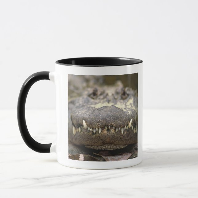 Caneca Jacaré americano (Esquerda)