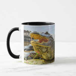 Caneca Jacaré. Frente a frente.