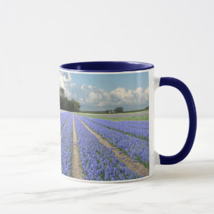 Caneca Jacintos azuis em um campo Holland