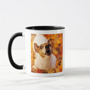 Caneca Jack Russell Terrier que descasca e que salta,