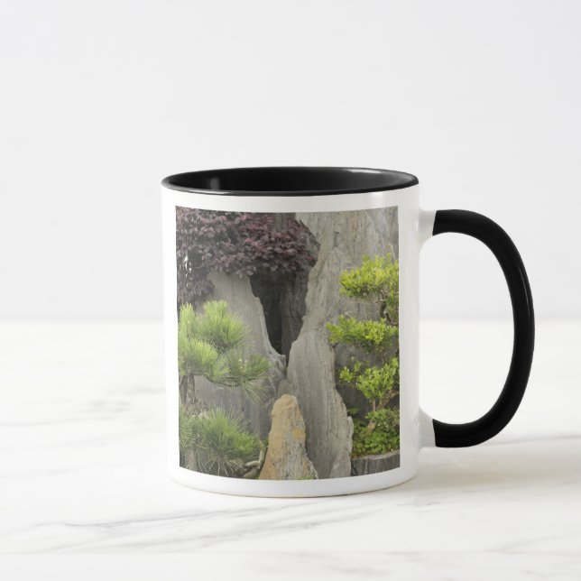 Caneca Jardim da família de Bao, Huangshan, China.2 (Direita)