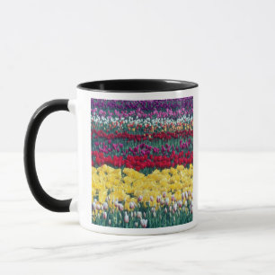 Caneca Jardim de exibição de Tulip no condado de Skagit