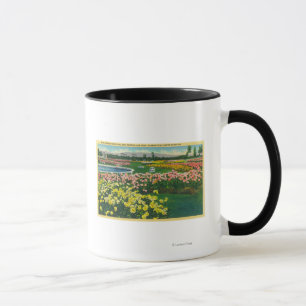 Caneca Jardim de rosas municipal em Santa Clara County