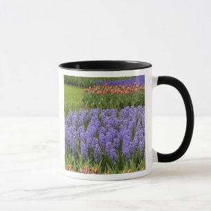 Caneca Jardim de Tulipas e Jacintos, Jardins Keukenhof,