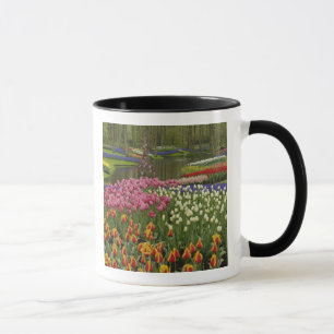 Caneca Jardim de tulipas e jacintos, Jardins Keukenhof,