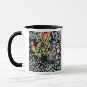 Caneca Jardim em Miniatura no Gem Lake