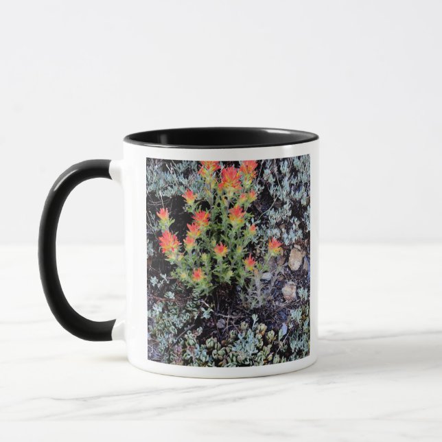 Caneca Jardim em Miniatura no Gem Lake (Esquerda)