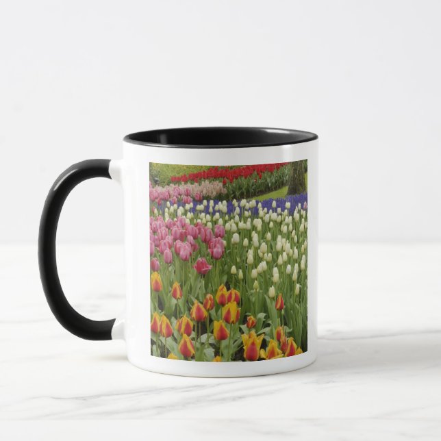 Caneca Jardim Tulip e Hyacinth, Jardins Keukenhof, (Esquerda)