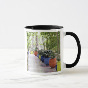 Caneca Jardin Majorelle, Majorelle Garden, agora um públ