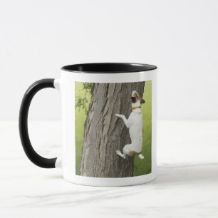 Caneca Jardins botânicos, Sydney, Novo Gales do Sul, 4