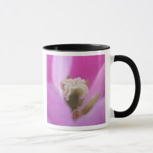 Caneca Jardins Keukenhof, Holanda, especializa-se em 3