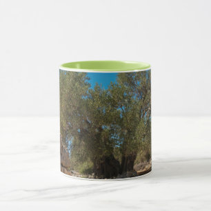 Caneca Jardins Olivais de Lun