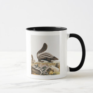 Caneca Jaritataca, de "Histoire Naturelle" perto