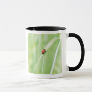 Caneca Joaninha