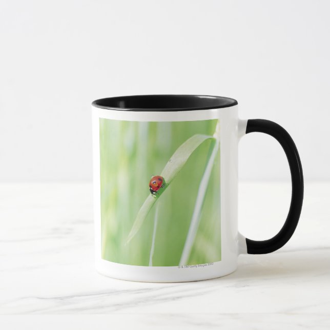 Caneca Joaninha (Direita)