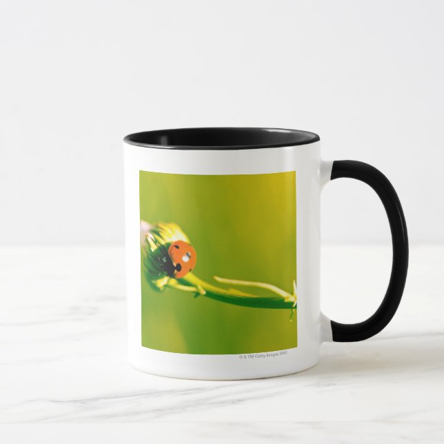 Caneca Joaninha no sprig (Direita)