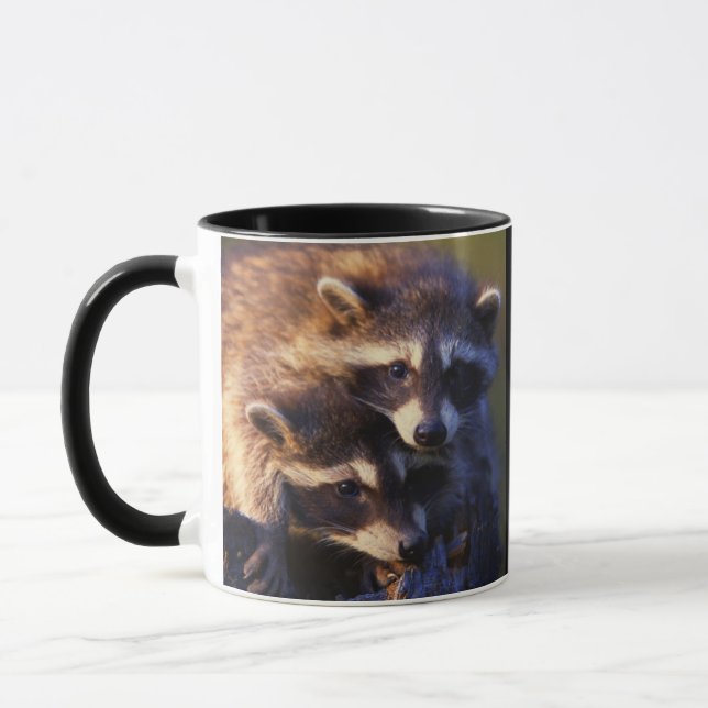 Caneca Junto para sempre guaxinins (Esquerda)