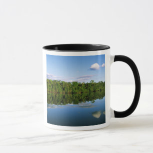 Caneca Juruena, Brasil. Margem florestada de rio refletid