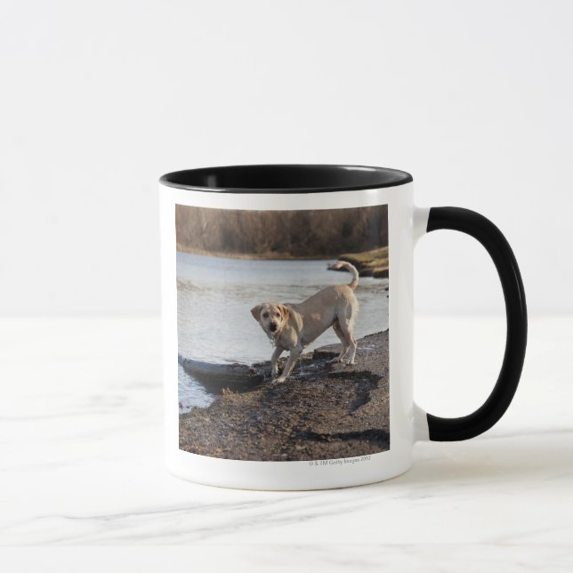 Caneca Labrador branco perto de um lago (Direita)