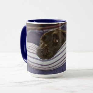 Caneca Labrador de Chocolate Bonito Retriever na Cama Rox