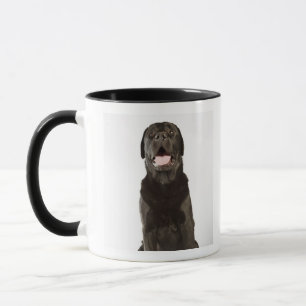Caneca Labrador preto (familiaris do Canis), arfando,