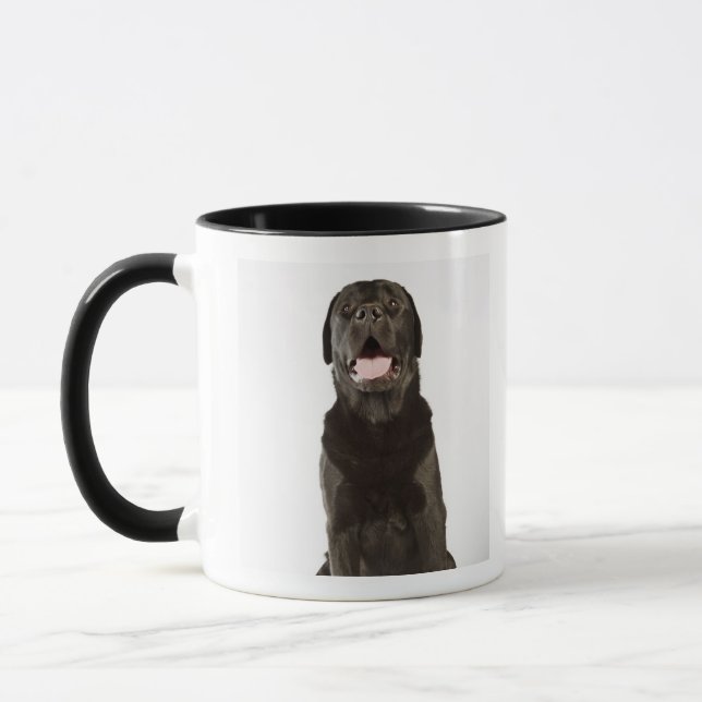 Caneca Labrador preto (familiaris do Canis), arfando, (Esquerda)