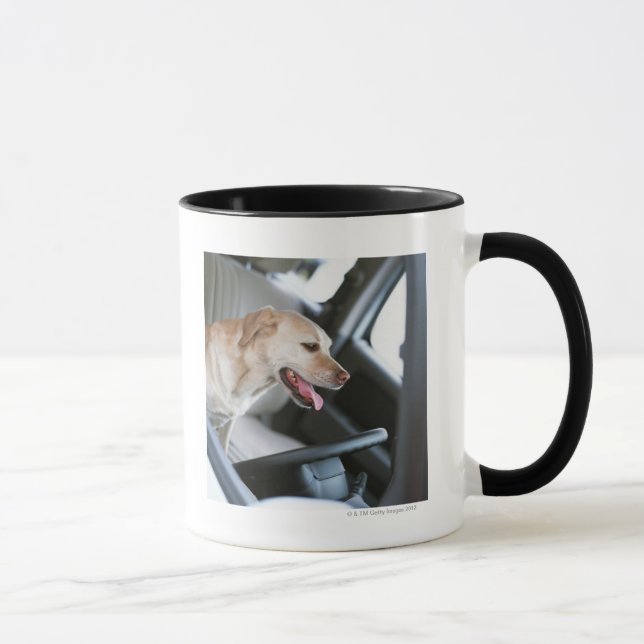 Caneca Labrador retriever (Direita)