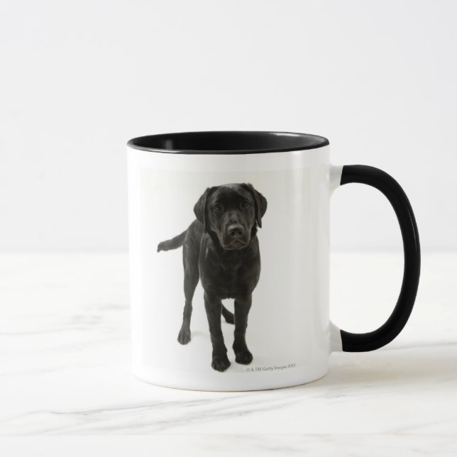 Caneca Labrador retriever preto (Direita)