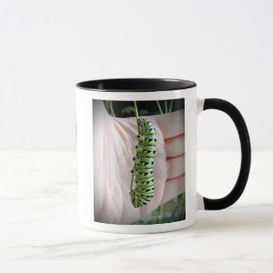 Caneca Lagarta/ Borboleta-rabo-de-andorinha-caneca