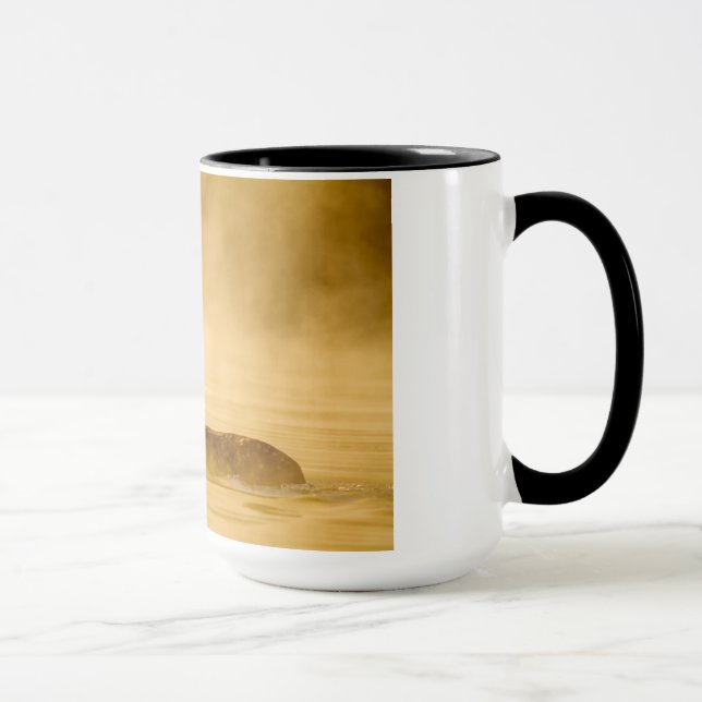 Caneca lago Branco-atado crossing dos cervos (Direita)