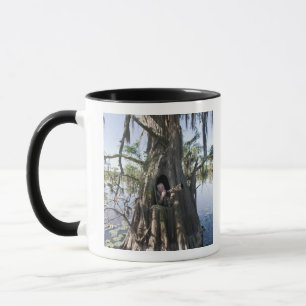 Caneca Lago Caddo, esconderijo de caça