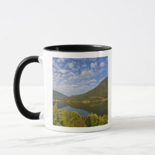 Caneca Lago Kootenay em Nelson, Colúmbia Britânica