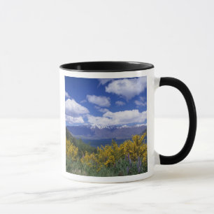 Caneca Lago Wakatipu e os Remarkables, Queenstown,