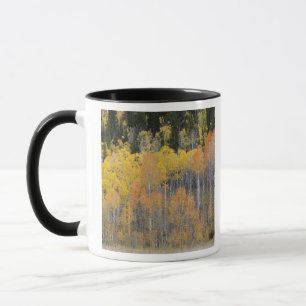 Caneca Lambert Hollow, árvores de álamo