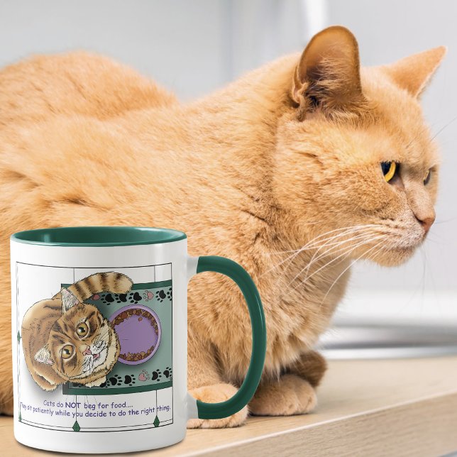 Caneca Laranja Paciente Comida de Gato Engraçada Humor Ve (Criador carregado)