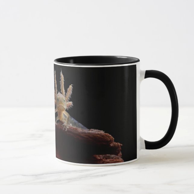 Caneca Larve com crista do newt (Direita)