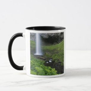Caneca Latourell Falls, Columbia River Gorge, Oregon