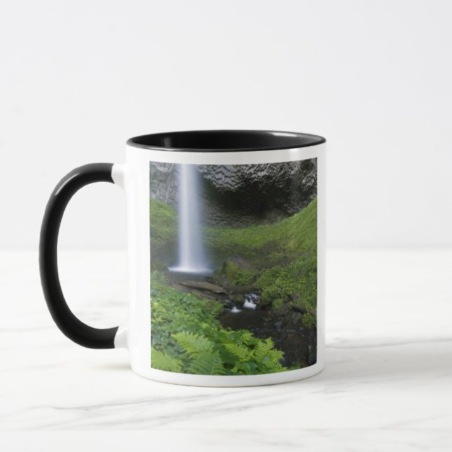 Caneca Latourell Falls, Columbia River Gorge, Oregon (Esquerda)